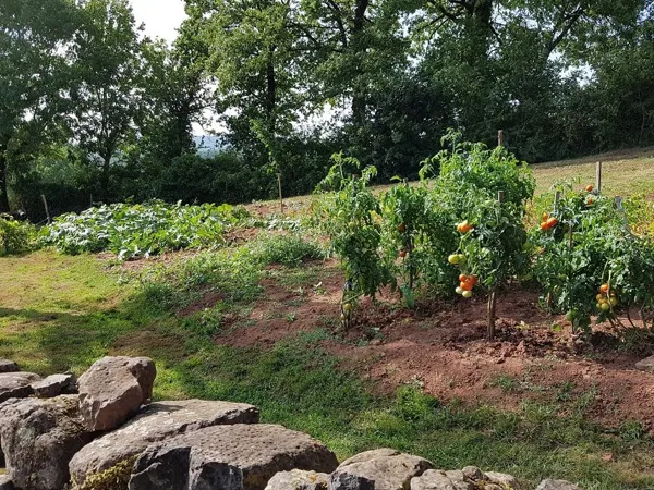 Chantal Viguier-Castanie, 