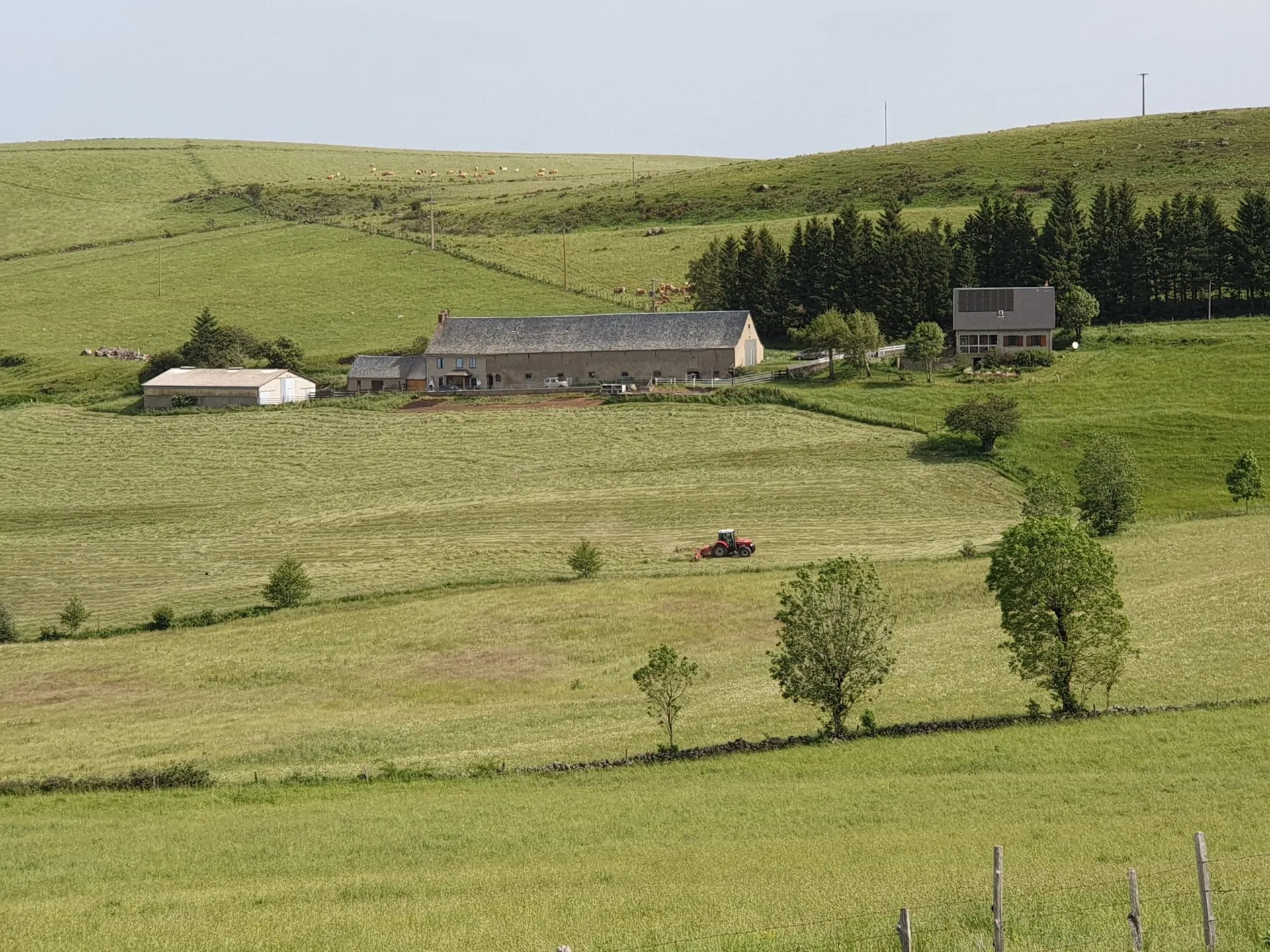 Bel Horizon Aubrac, OFFICE DE TOURISME DE LAGUIOLE