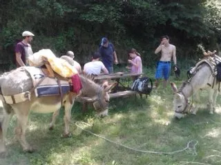 L'ANE REVEUR - De belles rencontres!!!!!, OFFICE DE TOURISME DE BOZOULS