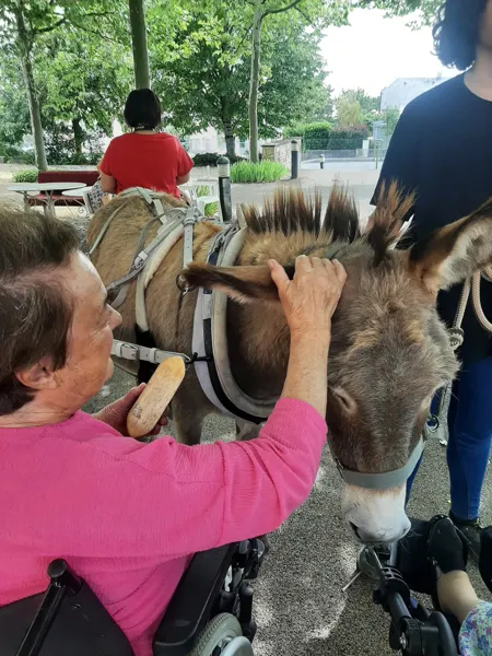 Visite à la maison de retraite, 