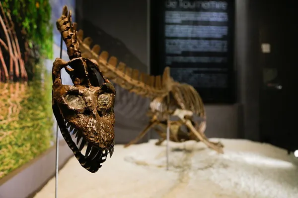 Musée de Millau Grands Causses, MUMIG