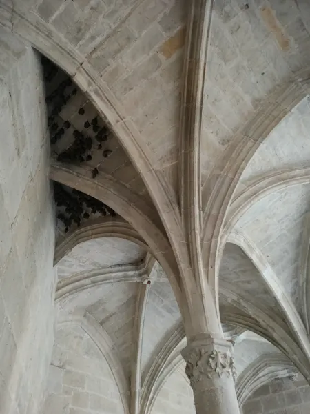 , SPL Ouest Aveyron Tourisme