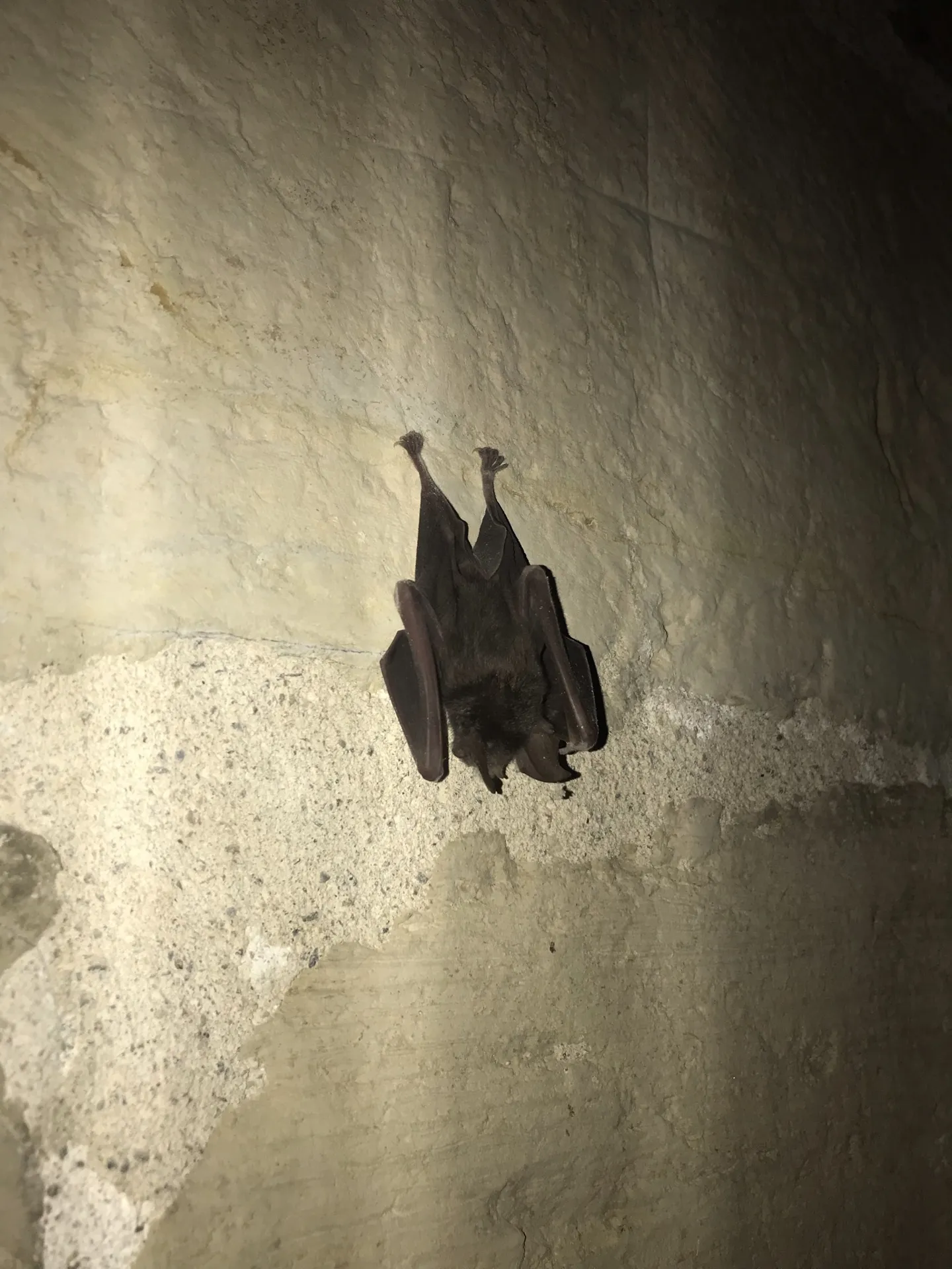 , SPL Ouest Aveyron Tourisme