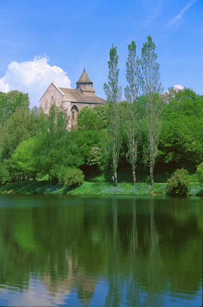 Balade - De l'arbre bleu à l'arboretum