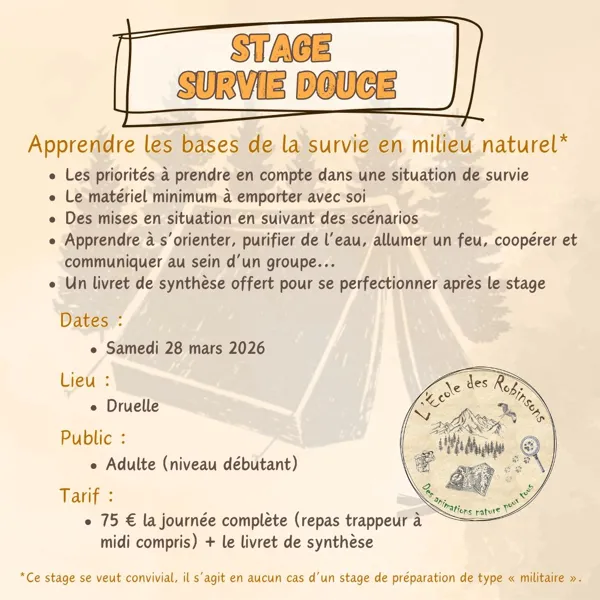 , L'École des Robinsons