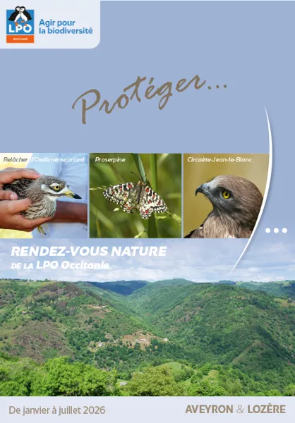Soirée lectures à voix haute sur les oiseaux - LPO Aveyron