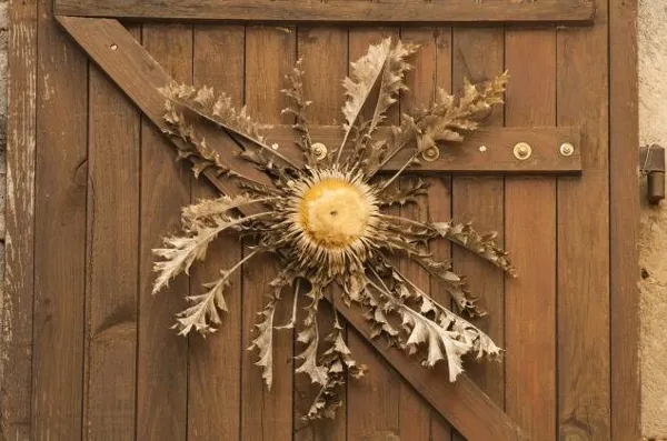 Les Orchis, Cornus - photo 11