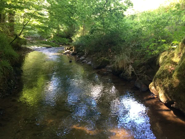 Randonnée - La Grifoulie et le Jaoul (Vabre-Tizac), OFFICE DE TOURISME AVEYRON SEGALA