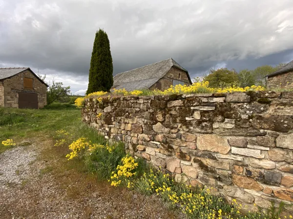 La Cerisaie, Lassouts - photo 6