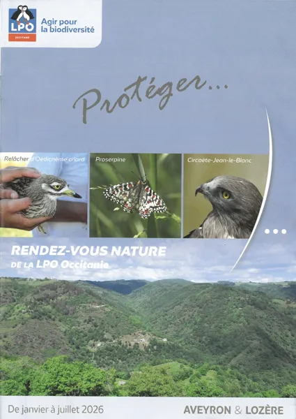 Découverte d'un refuge LPO à Thérondels : à quoi ça sert, quelle biodiversité il abrite ?