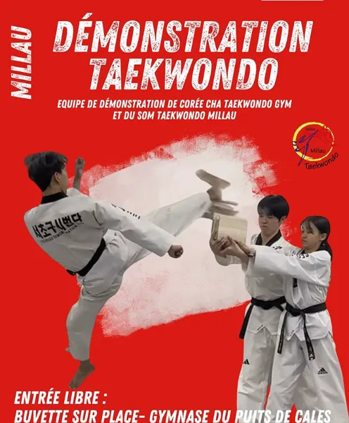 démonstration taekwondo