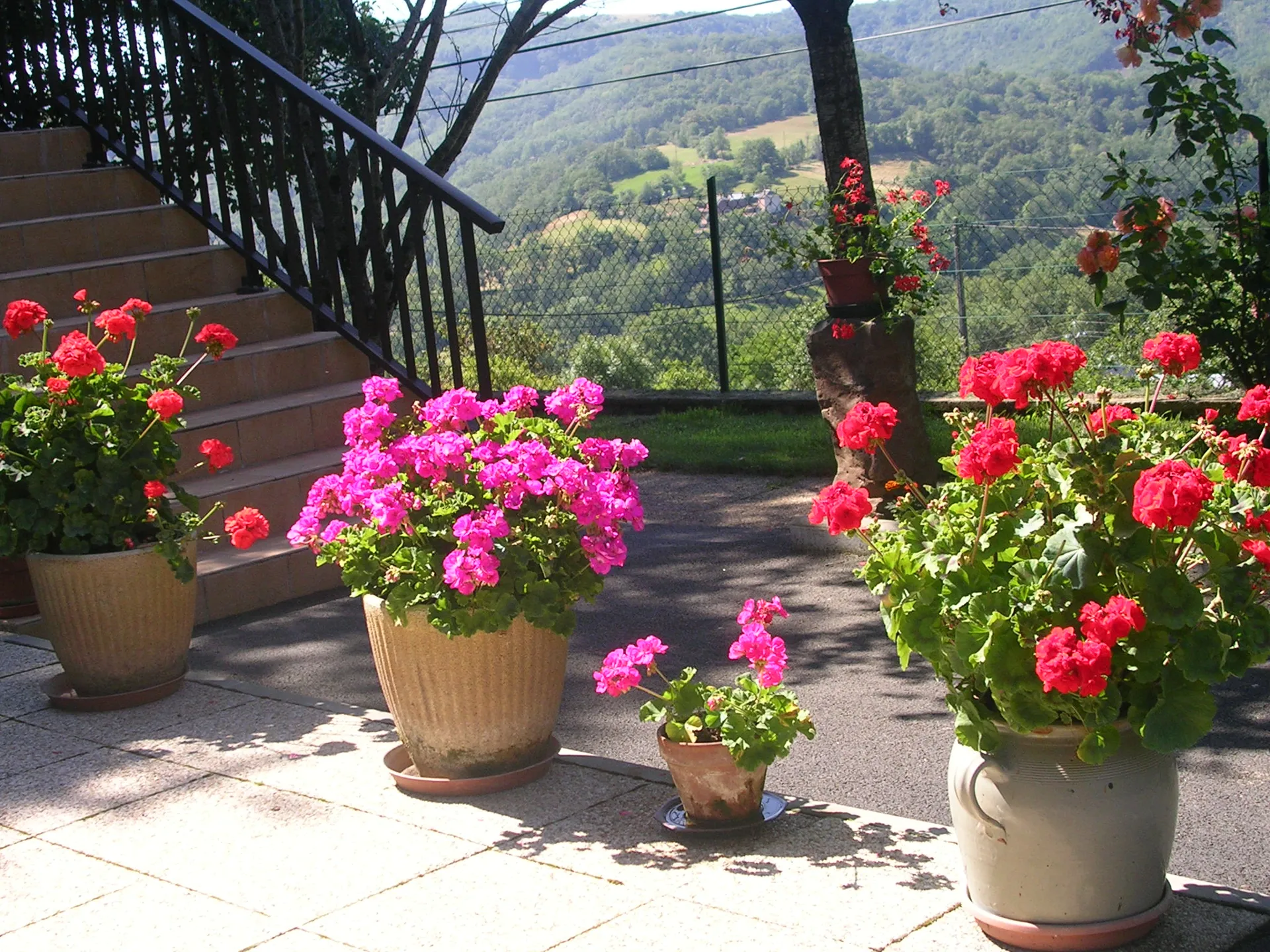 Le Colombié (studio), Guy Persec