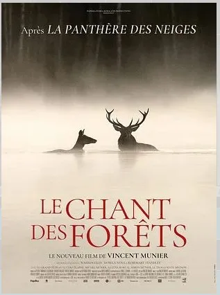 Cinéma : Le Chant des Forêts