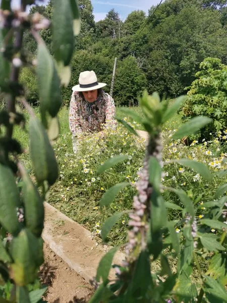 On y va en bus ! – Savoir-faire et gastronomie