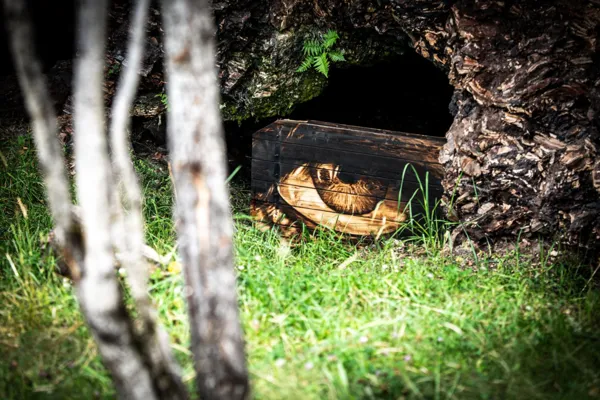 Suivez la guide : randonnez à la découverte des petites histoires des sentiers d’Artémis