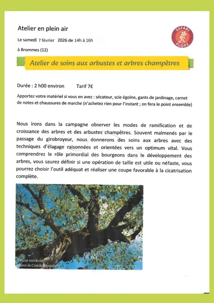 Observation arbustes et arbres champêtres et atelier de soins : élagage raisonné