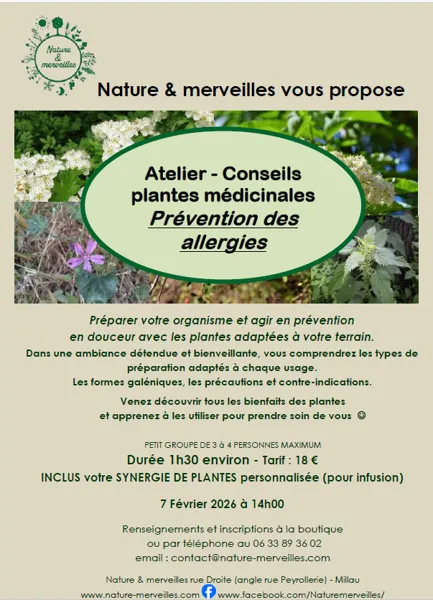 Plantes médicinales 