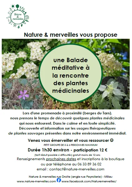 Balade à la rencontre des plantes médicinales - Nature et Merveilles