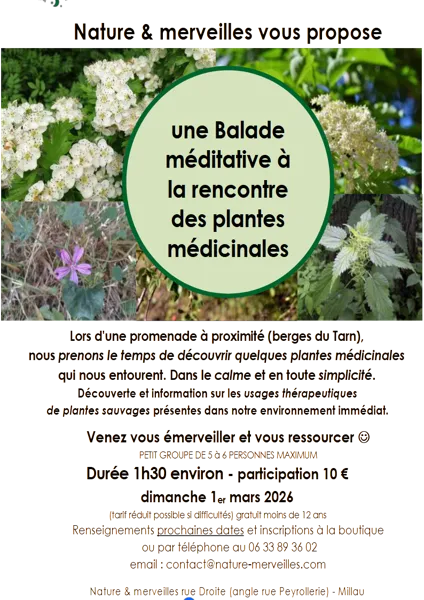Balade à la rencontre des plantes médicinales - Nature et Merveilles