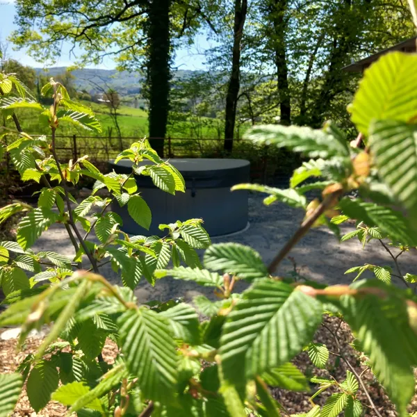 Jacuzzi disponible toute l'année, Thily Niel