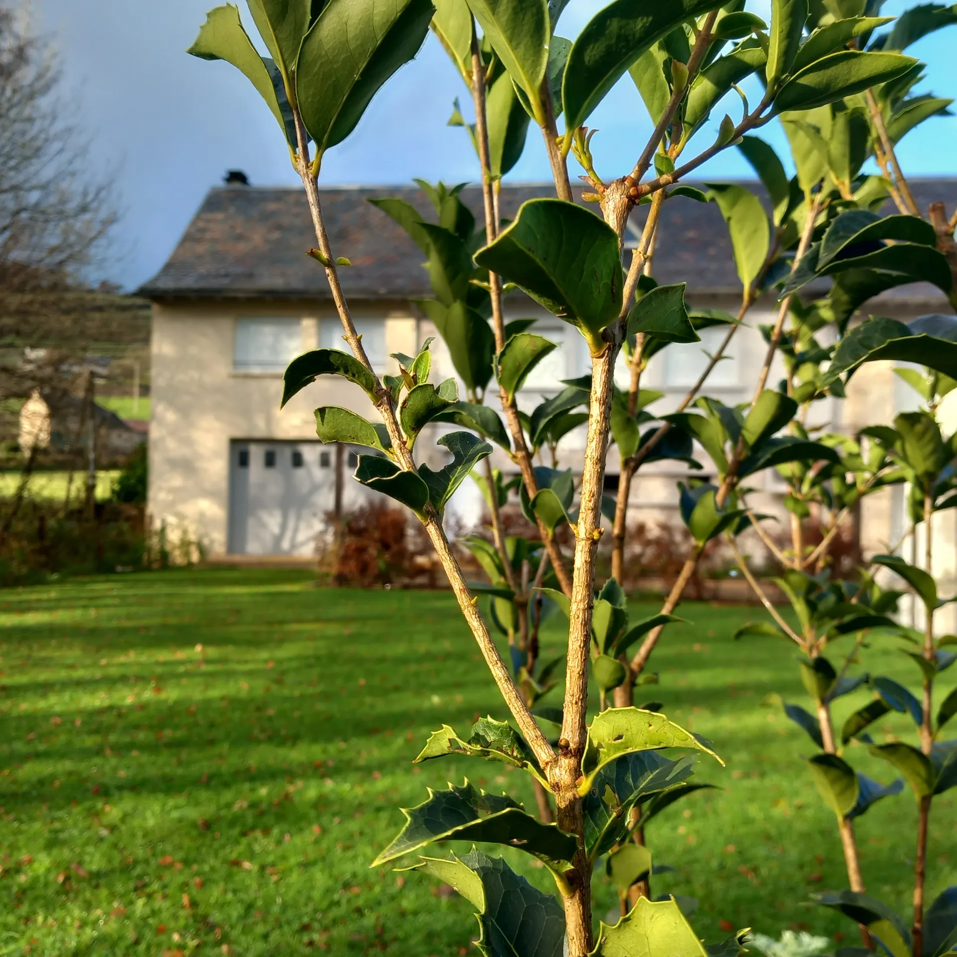 Extérieur, Thily Niel