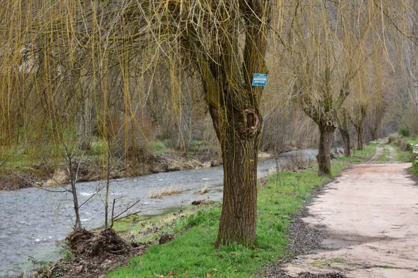Le Rance à Combret, Fédération de pêche de l'Aveyron
