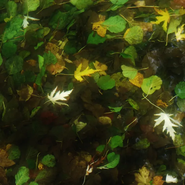 Exposition « Pêle-mêle »