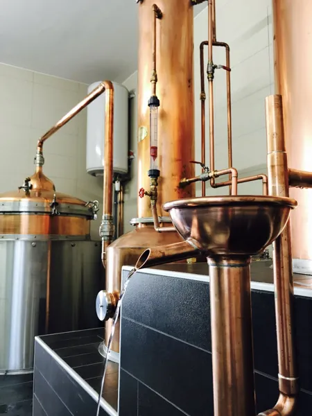 Twelve Whisky d'Aubrac - groupes, Twelve Whisky d'Aubrac