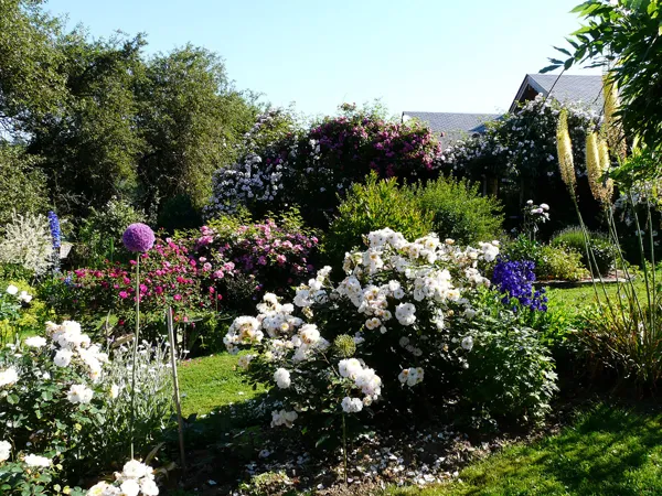 , Site du jardin des plantes