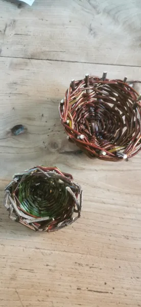 Vannerie sauvage en ronce