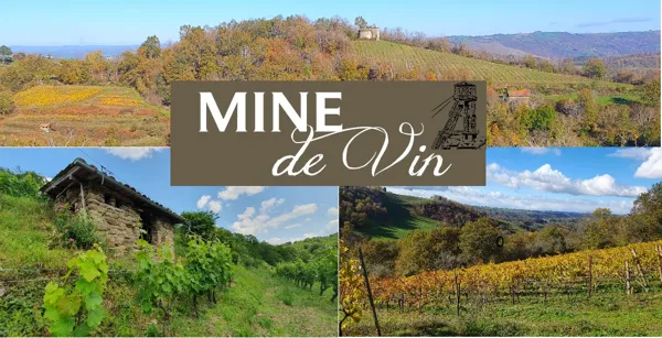 Rencontre avec le vigneron « Mine de Vin »