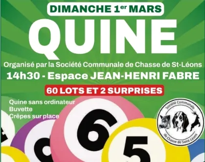 Quine