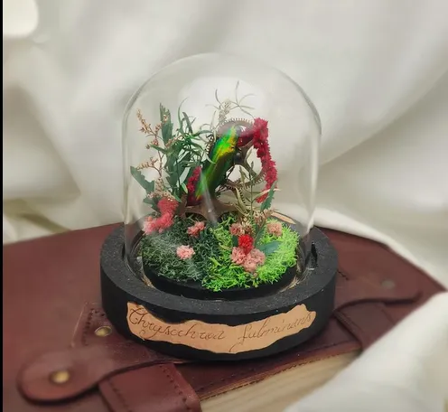 , Office de Tourisme Conques Marcillac