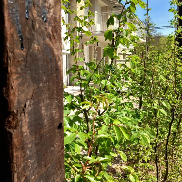 Détail de la façade, Thily Niel