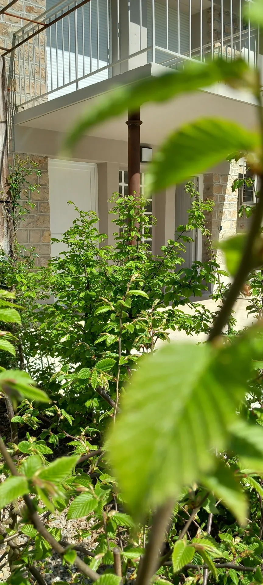 Vue de l'extérieur, Thily Niel