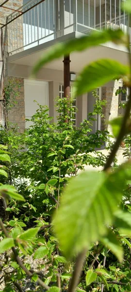 Vue de l'extérieur, Thily Niel