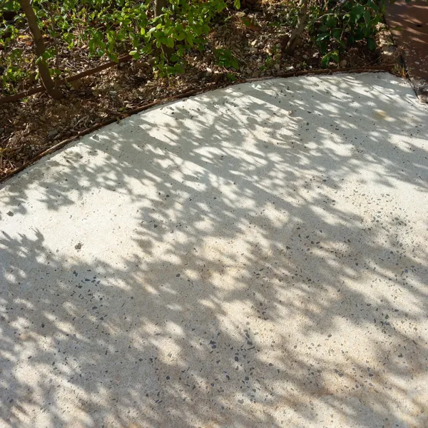 Ombres du jardin, Thily Niel