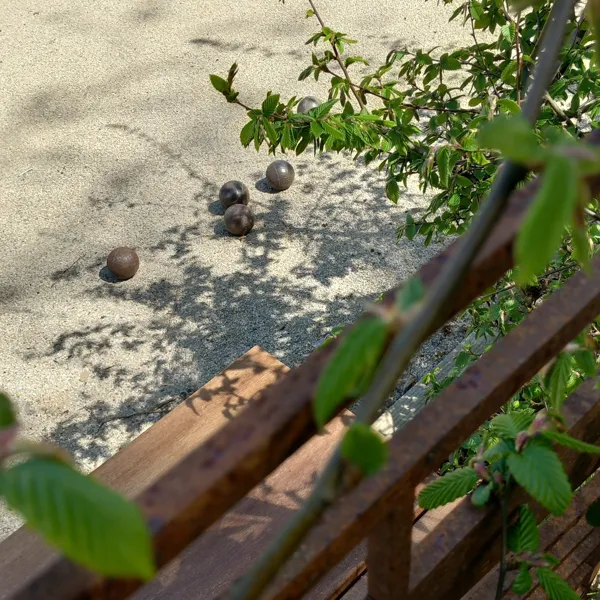 Boulodrome, Thily Niel