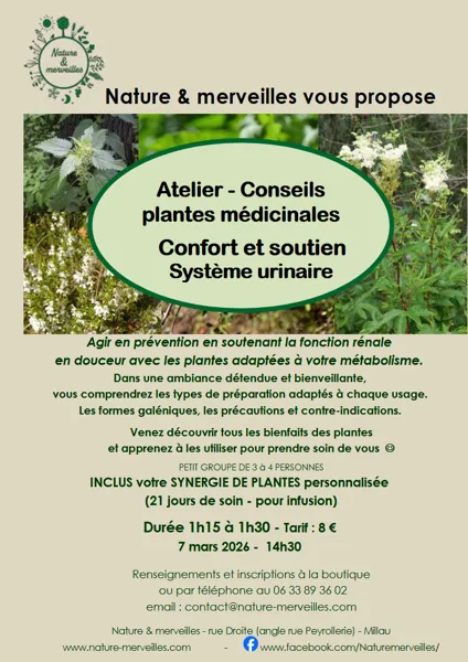 Atelier conseils plantes médicinales 