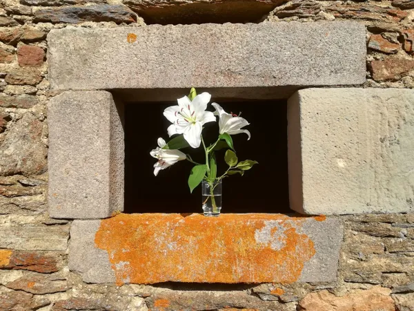 Gîte chez Marie H12G023315