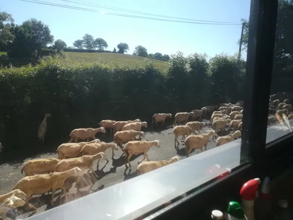 Gîte chez Marie H12G023315, OFFICE DE TOURISME DE PARELOUP LEVEZOU