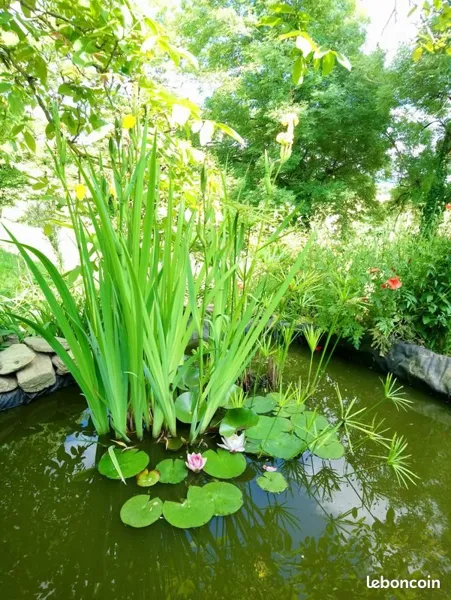 Les ateliers de Brigitte