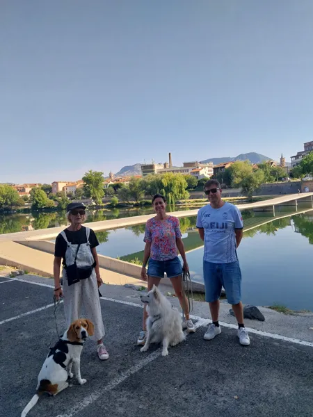 Visite Millau avec ton chien !