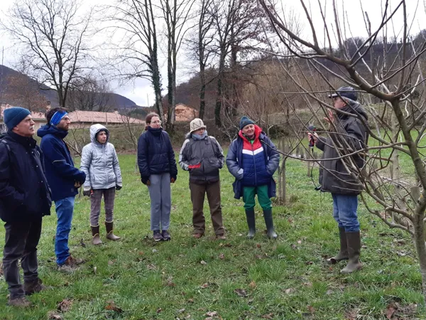 Formation à la taille avec les Vergers d'Antan