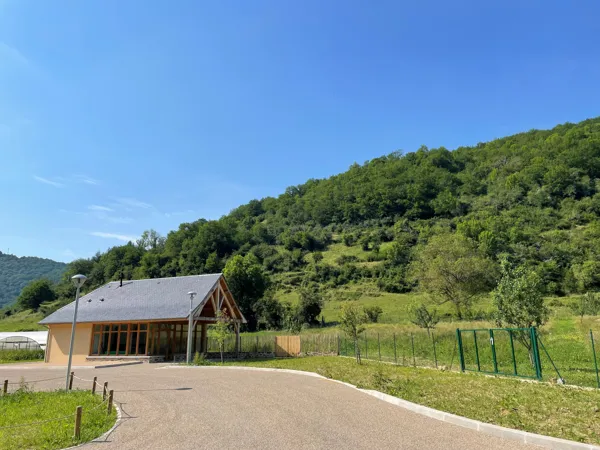 Démonstration de greffe