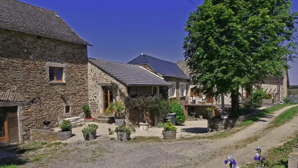 Le Domaine de Lasfonds - Le Figuier