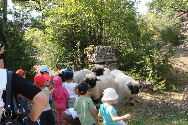 Parc animalier du Theil (Le Caylar en Larzac), Parc animalier du Theil