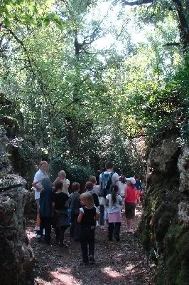 Parc animalier du Theil (Le Caylar en Larzac), Parc animalier du Theil