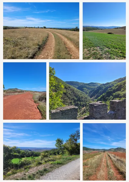 Le Petit Marcheur (Agence de Voyage)