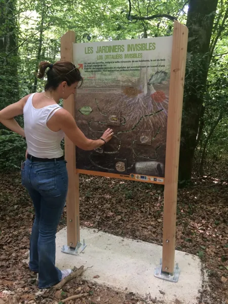 , OT Aveyron Ségala